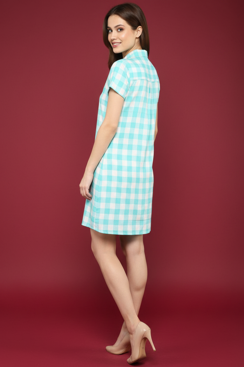 Snuggle Spot Women's Rayon Checkered Short Sleeve Above Knee Dress (SkuBlue - White)