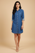 Snuggle Spot Women's Denim Solid Long Sleeves Above Knee Dress (Blue)