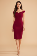 Snuggle Spot Women's Knitting stretchable Solid Round Neck Sleeveless Dress (Maroon)