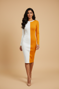 Snuggle Spot Women's Knitting stretchable Solid Round Neck Full Sleeve Dress (Yellow)