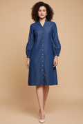 Snuggle Spot Women's Casual Denim Full sleeve Dress (Blue)