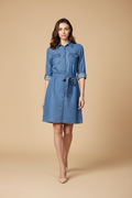 Snuggle Spot Women's Denim Solid Roll Up Sleeve Dress (Blue)