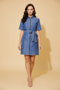 Snuggle Spot Women's Denim Solid Half Sleeve Dress (Blue)